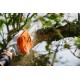 Stihl HTA 135, zonder accu en lader