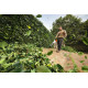 Stihl BGA 110, zonder accu en lader